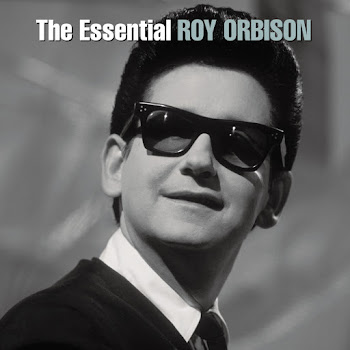 Roy Orbison A Love So Beautiful Скачать mp3