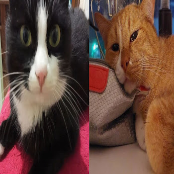 Sacredxii Дом 2 Скачать mp3