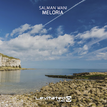 Salman Wani Meloria (Extended Mix) Скачать mp3