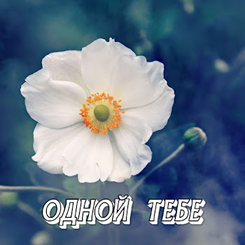 Сергей Грищук Одной Тебе Скачать mp3