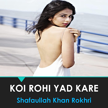 Shafaullah Khan Rokhri Koi Rohi Yad Kare Скачать mp3