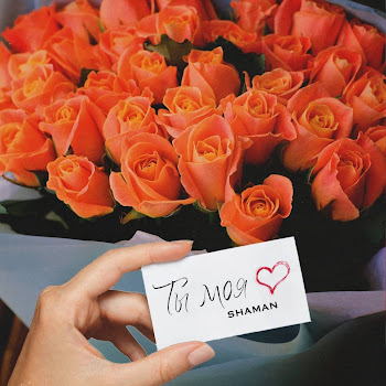 Shaman Ты Моя Скачать mp3