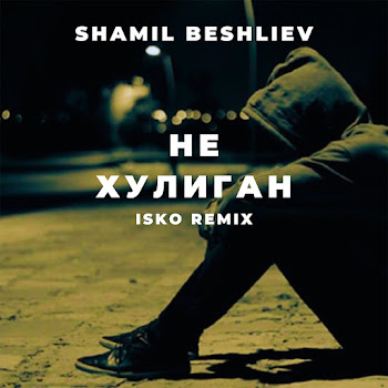 Shamil Beshliev Не Хулиган (Isko Remix) Скачать mp3