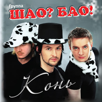Шао? Бао! Когда-Нибудь Скачать mp3