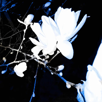 Sheetel Я - Це Ти Ft Renie Cares Скачать mp3