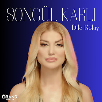 Songül Karlı Dile Kolay Скачать mp3