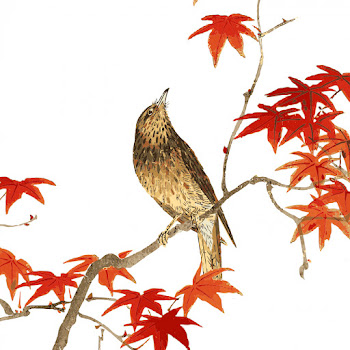 Sounds Of A Nightingale Singing & Звуки Пения Соловья Пение Соловья В Природе Скачать mp3