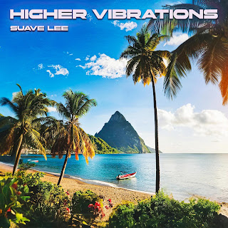 Suave Lee Higher Vibrations Скачать mp3