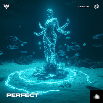 Tescao Perfect Скачать mp3