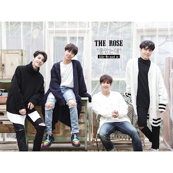 The Rose Like We Used To Скачать mp3