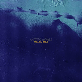 Unhealthy Zoglin Danika House Скачать mp3