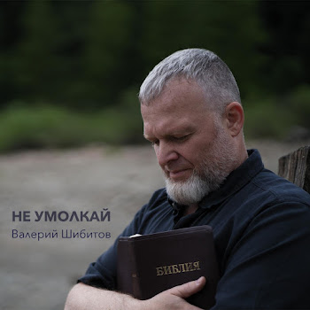 Валерий Шибитов Не Умолкай Скачать mp3