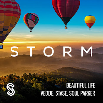 Vedde Beautiful Life Ft Stase & Soul Parker Скачать mp3