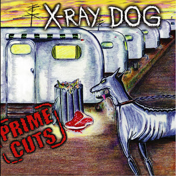 X-Ray Dog Enigmatic Скачать mp3