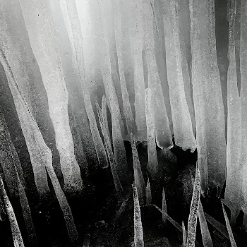 Xuxuabba Hit The Grass Скачать mp3