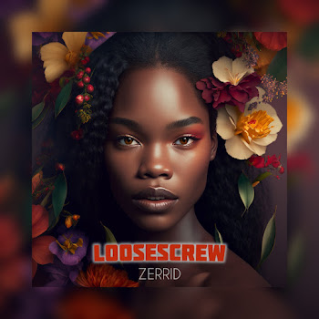 Zerrid Loosescrew Скачать mp3