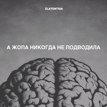 Zlatentsia А Жопа Никогда Не Подводила Скачать mp3